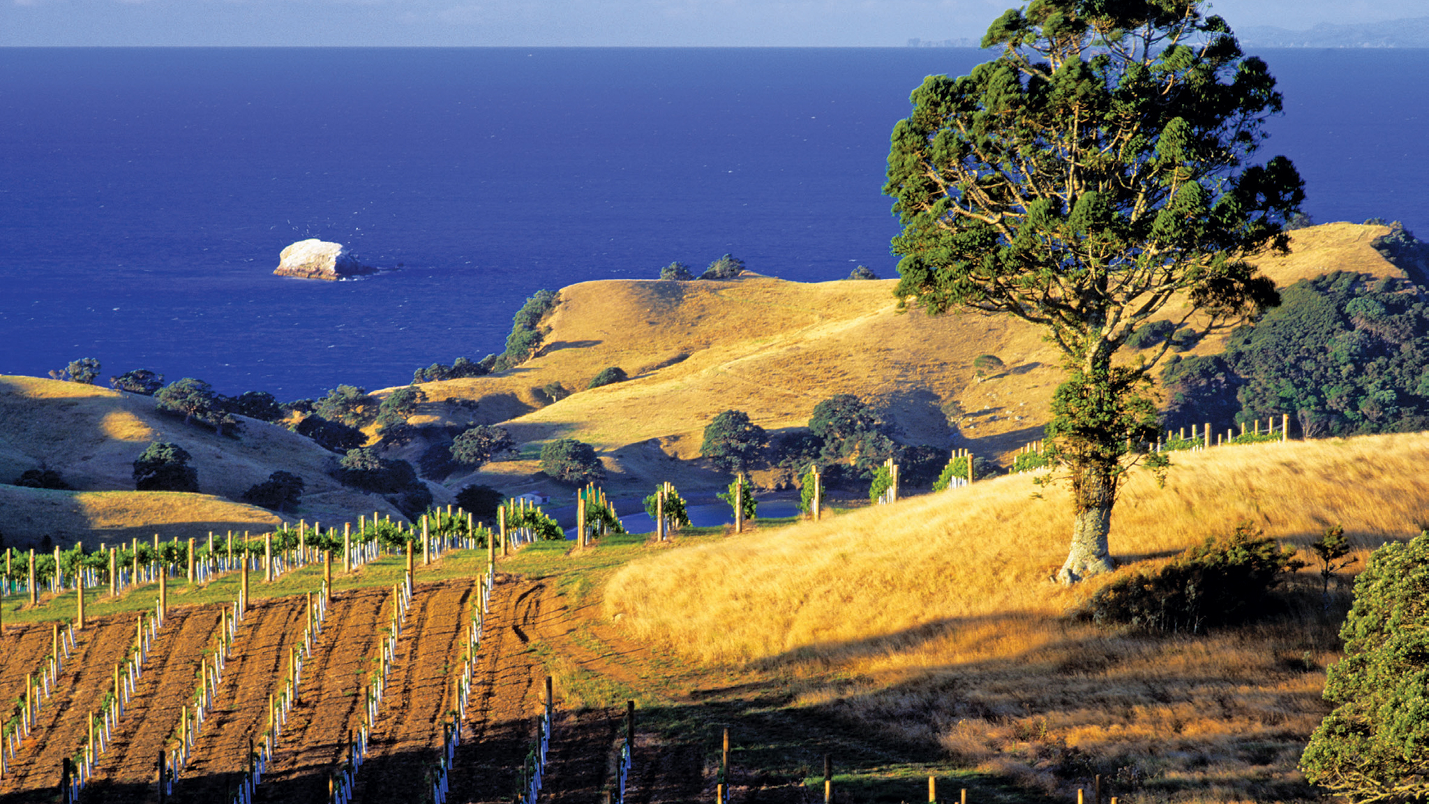 New Zealand property Waiheke Island, a playground for Auckland