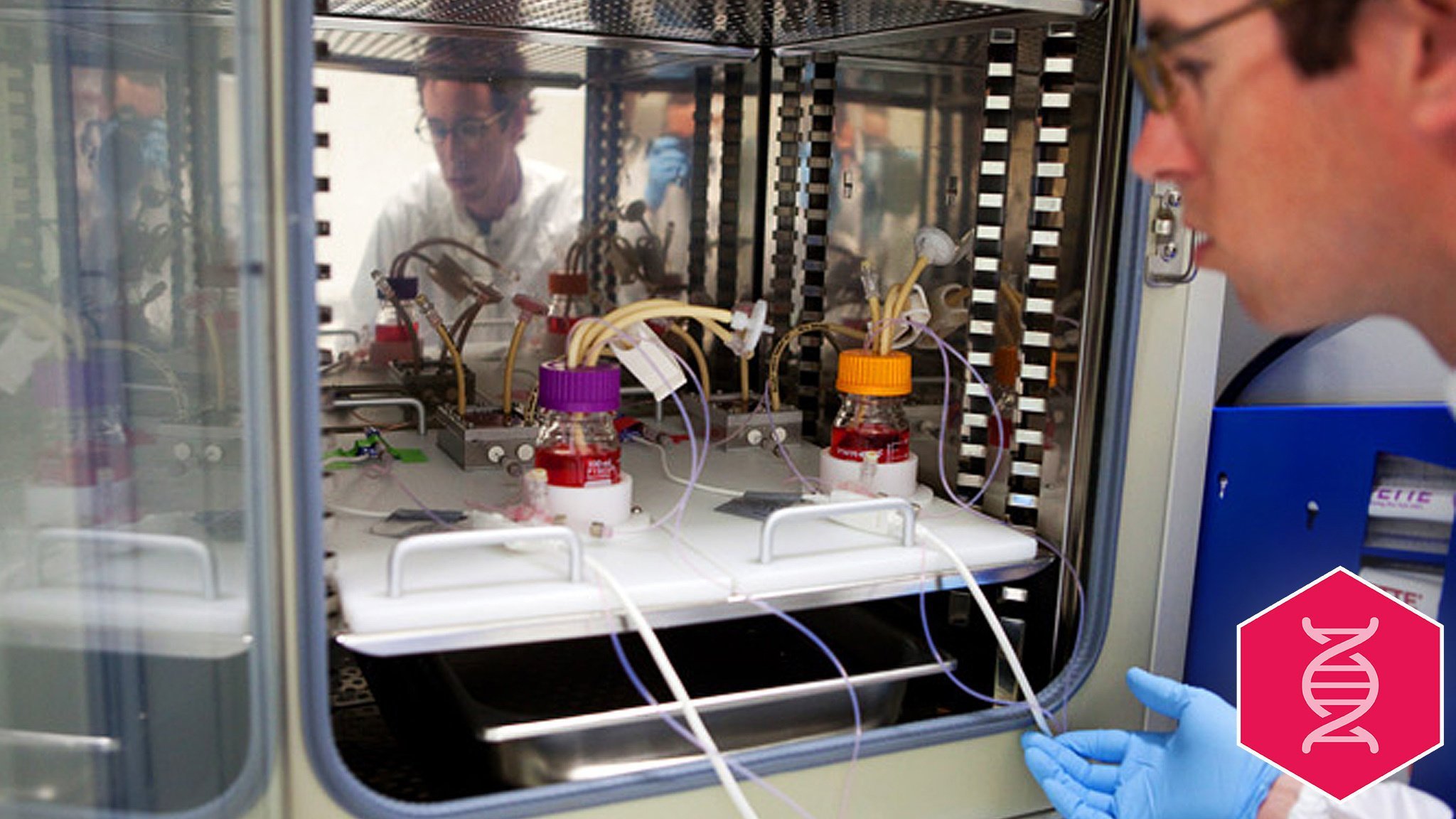 promise of 3D organ printing | Times