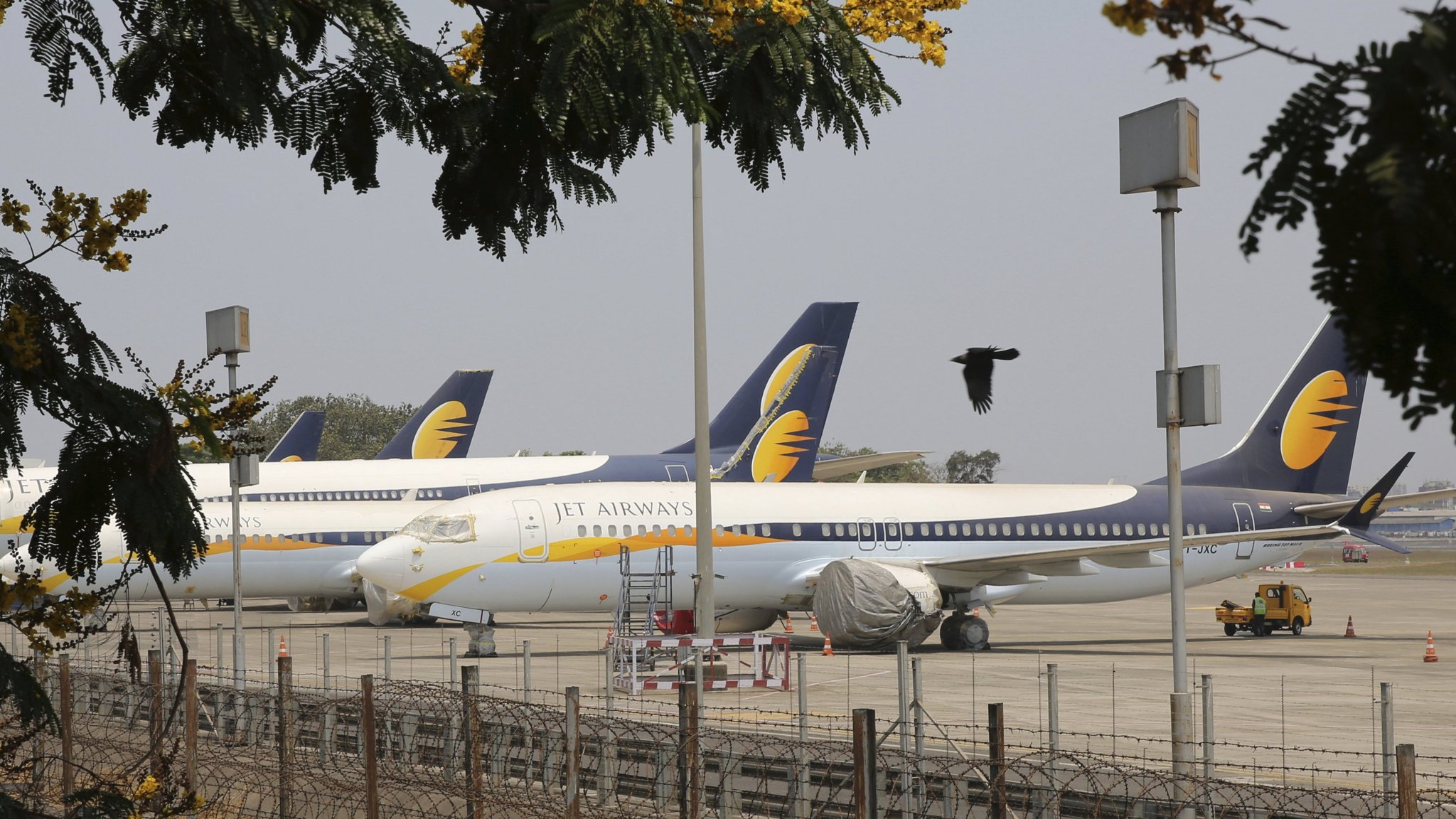 India S Airlines Cash In On Collapse Of Debt Racked Jet