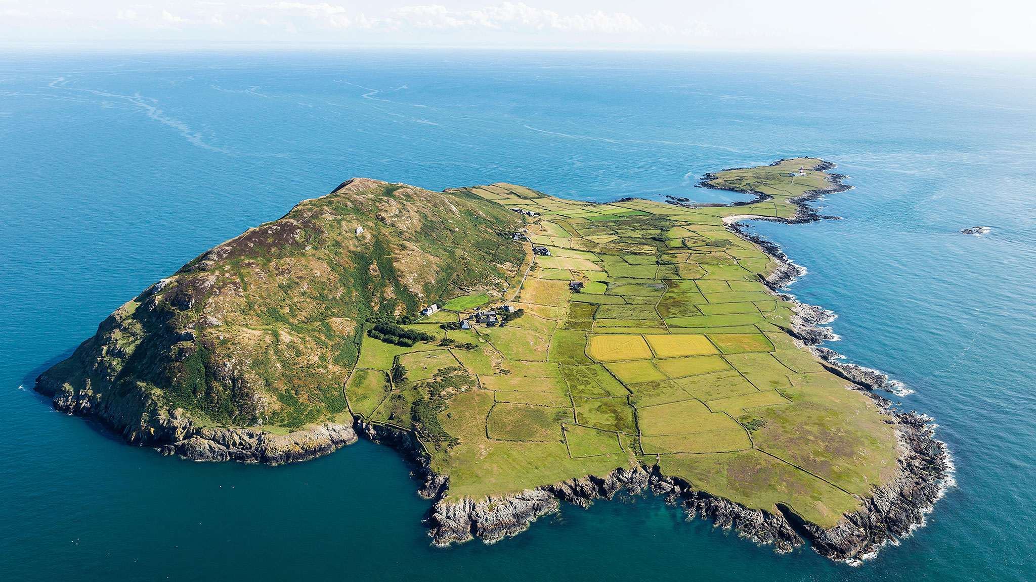 Islander by Patrick Barkham — perfectly formed