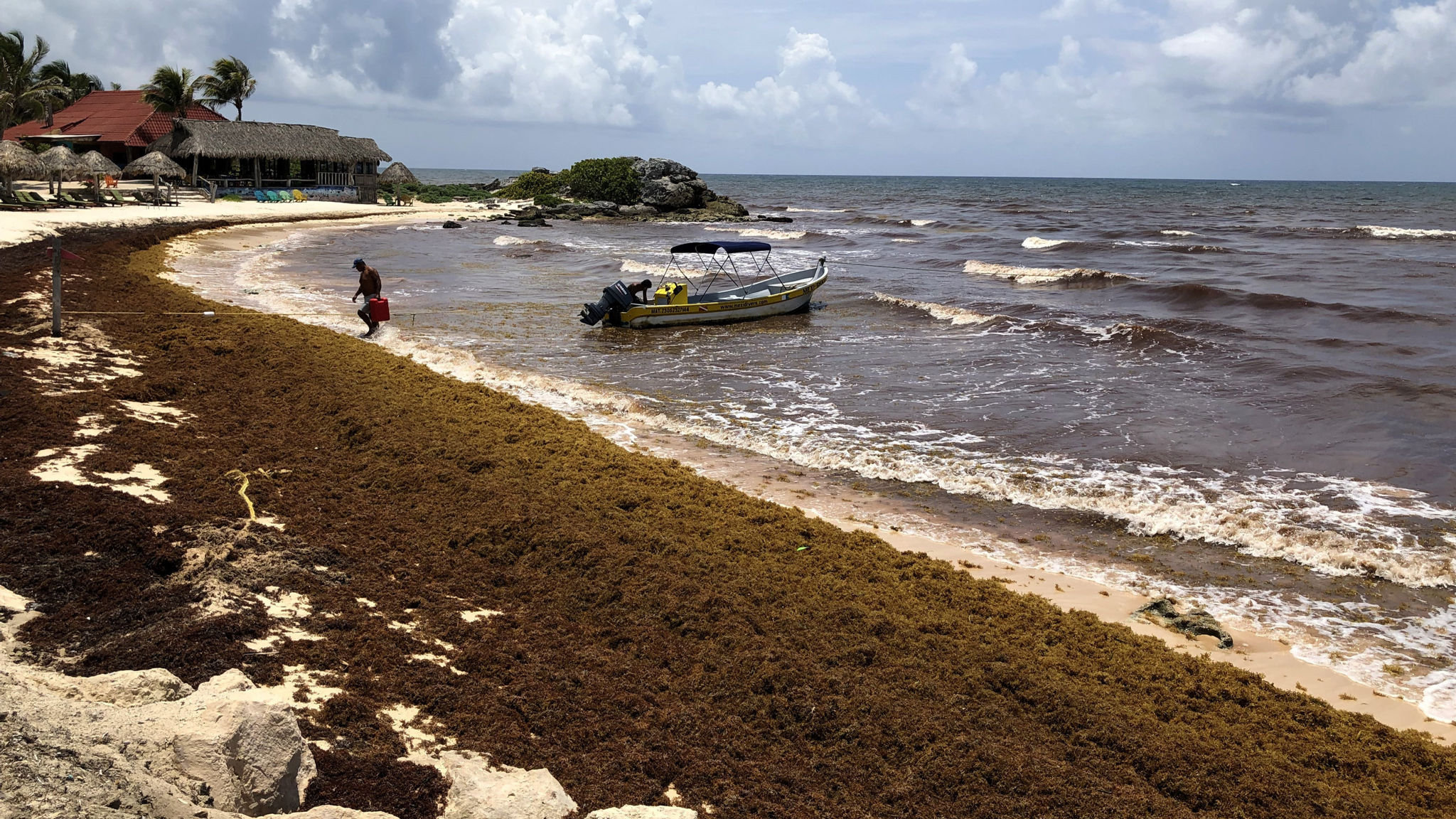 weddings tulum beaches seaweed