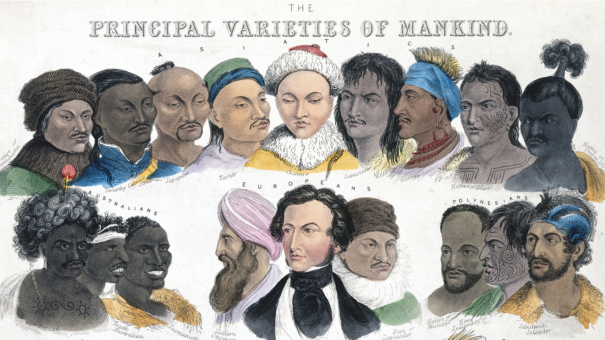 homo sapiens different races