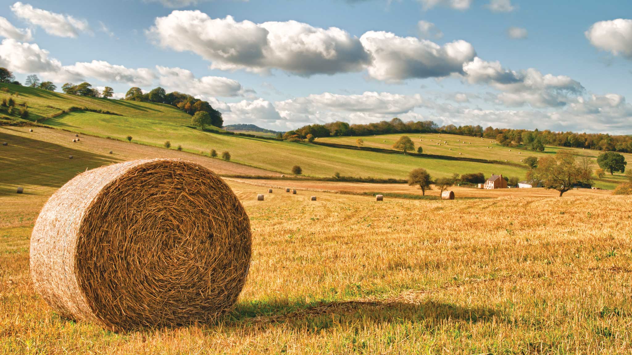 farmland-and-forestry-hit-record-highs