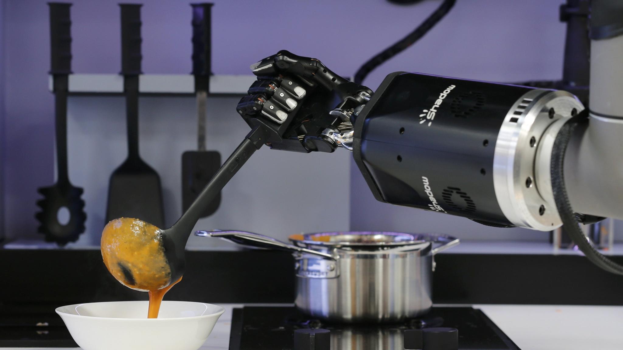 moley robot chef price