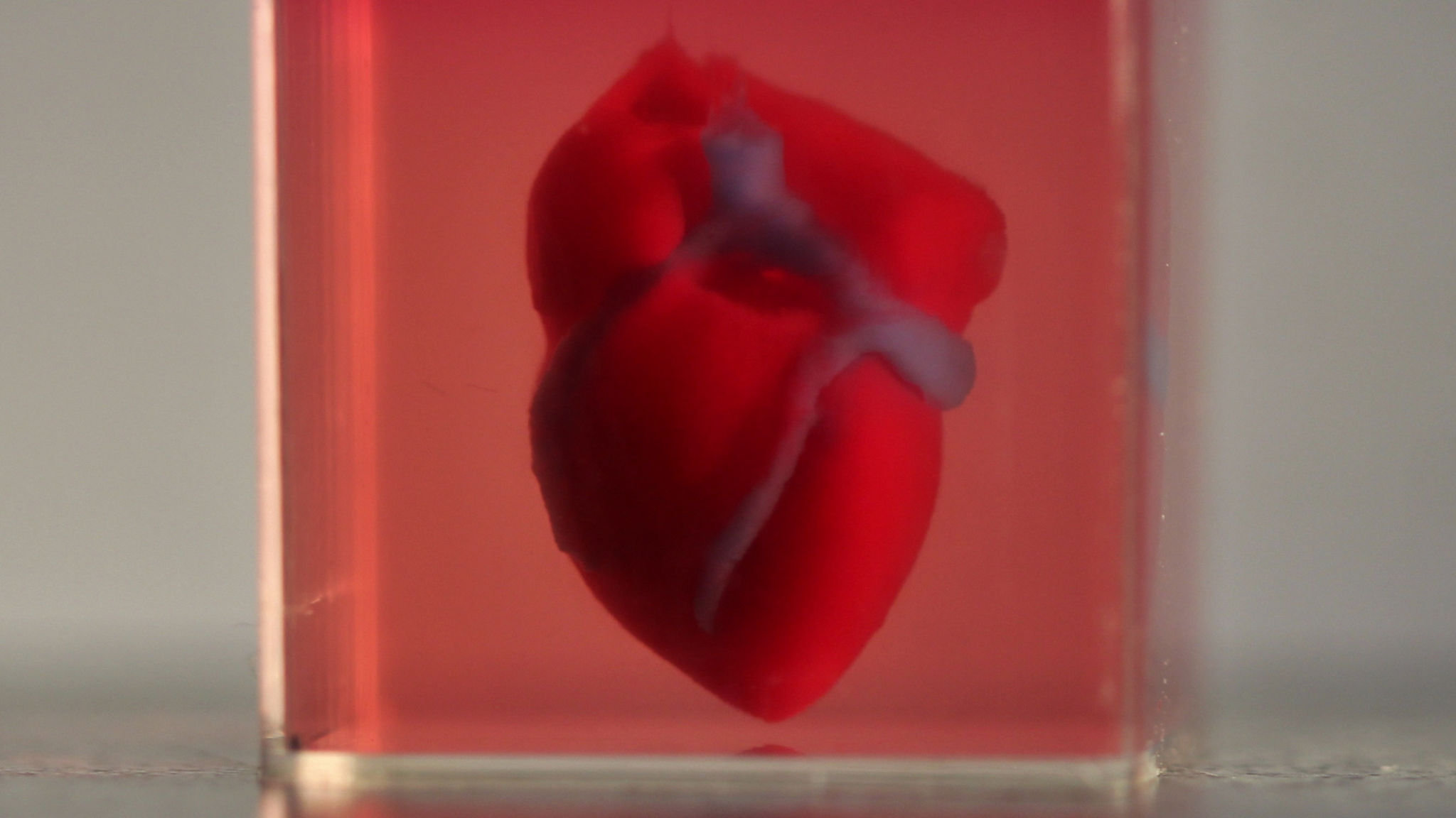 3D Printing Replacement Organs  - Scientists Are Using Special 3D Printers To Create Living Body Parts And Claim The Groundbreaking Method Will Soon Allow Them To Implant Printed Organs As Well.