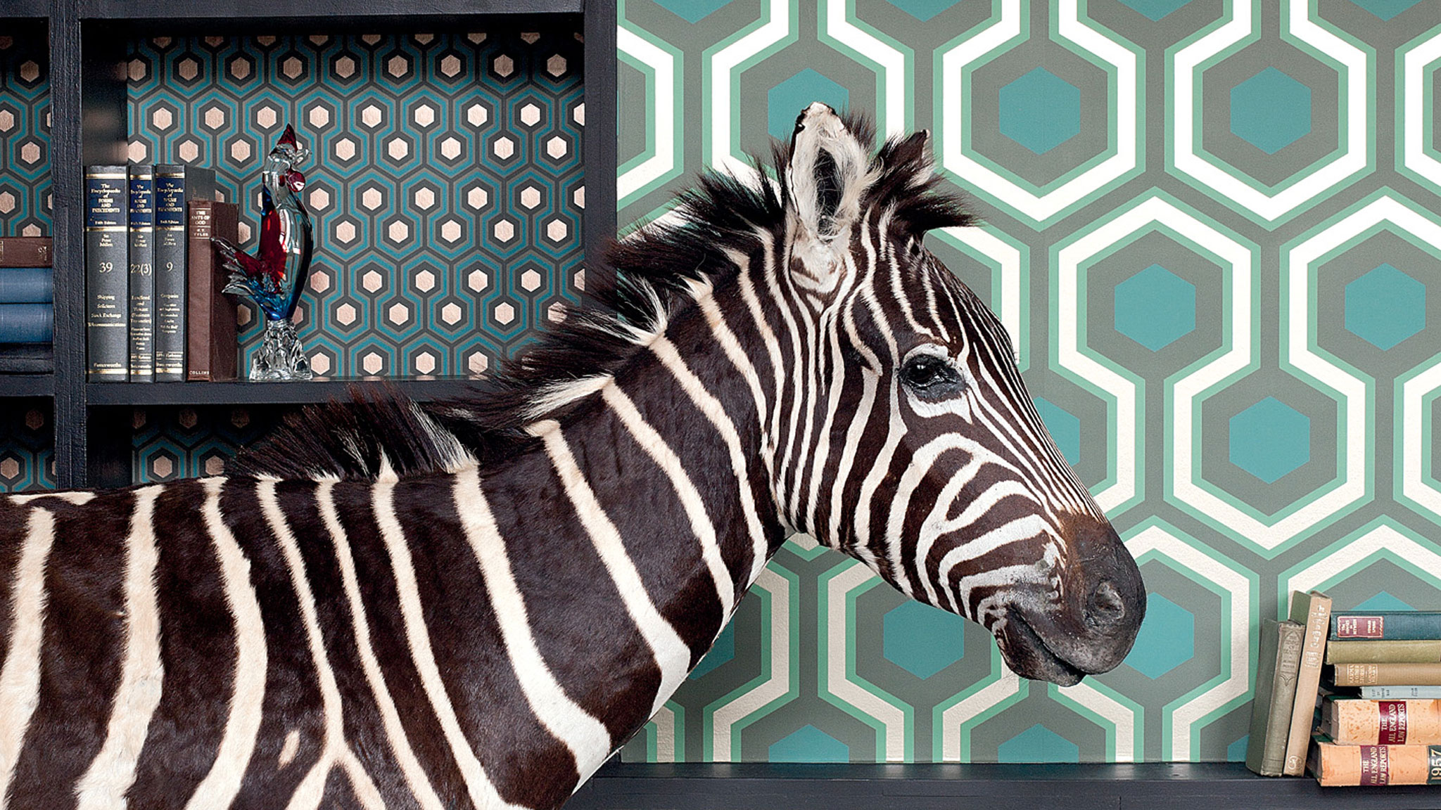 the-designers-proving-that-taxidermy-is-far-from-a-dying-art-financial-times