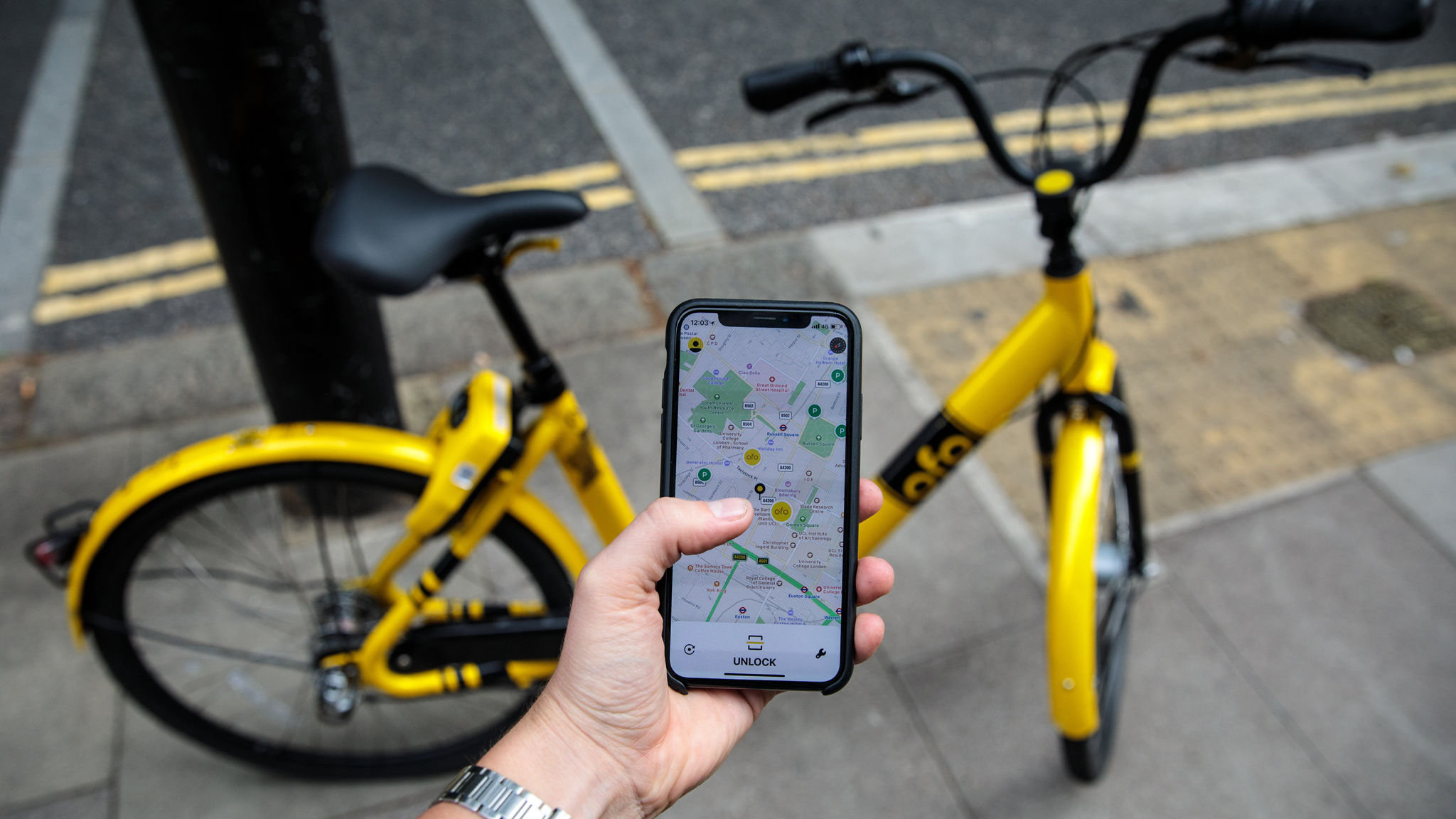 ofo uk