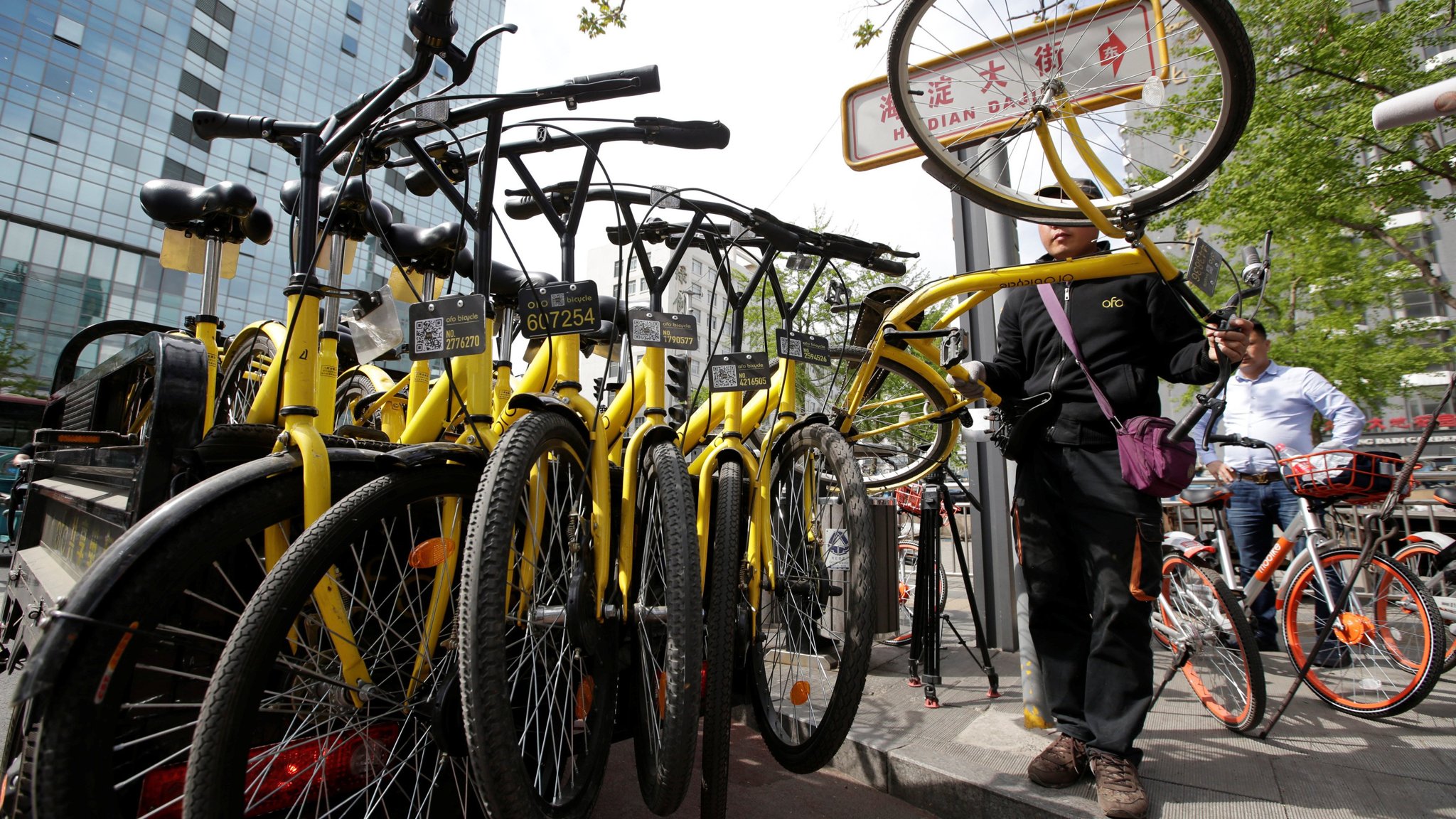 ofo news