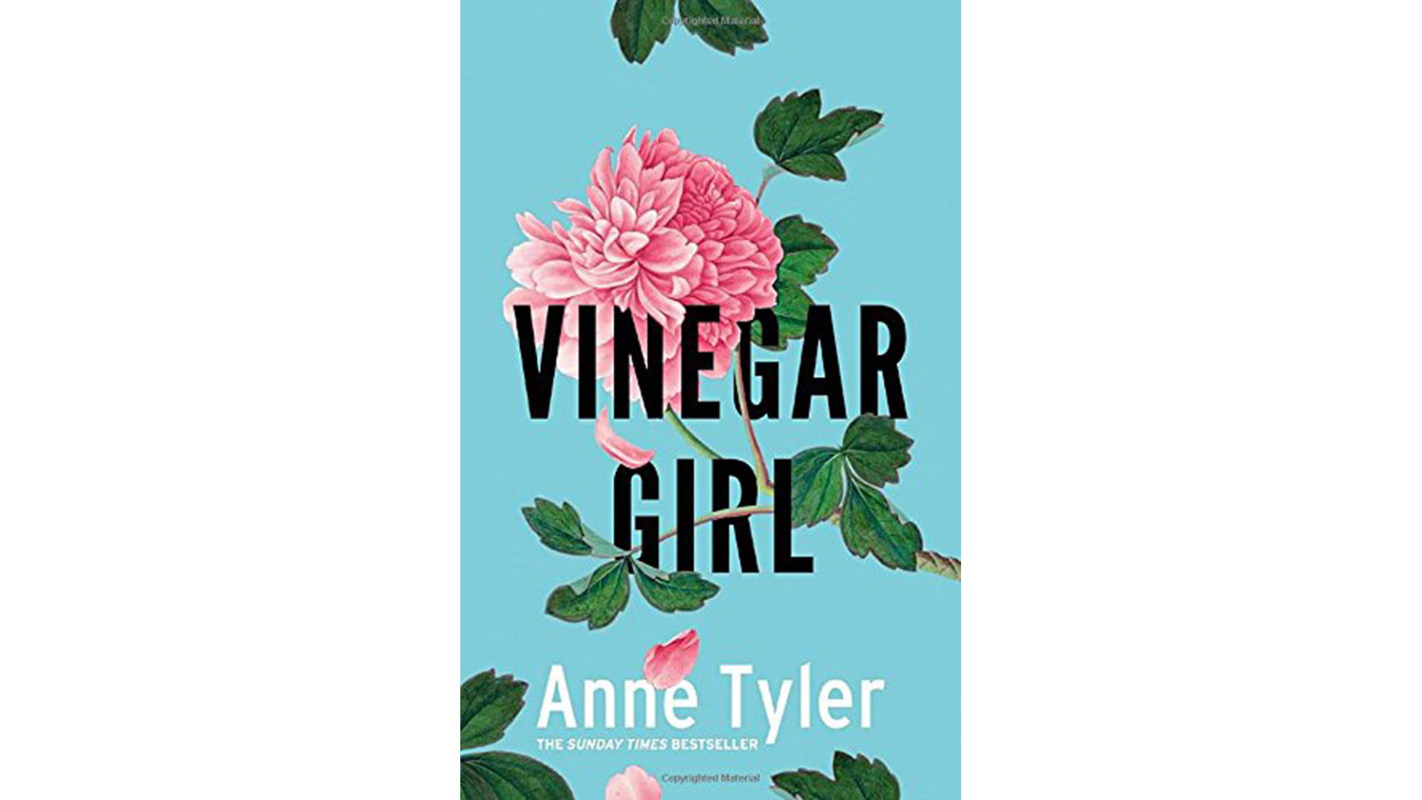 ‘Vinegar Girl’, by Anne Tyler