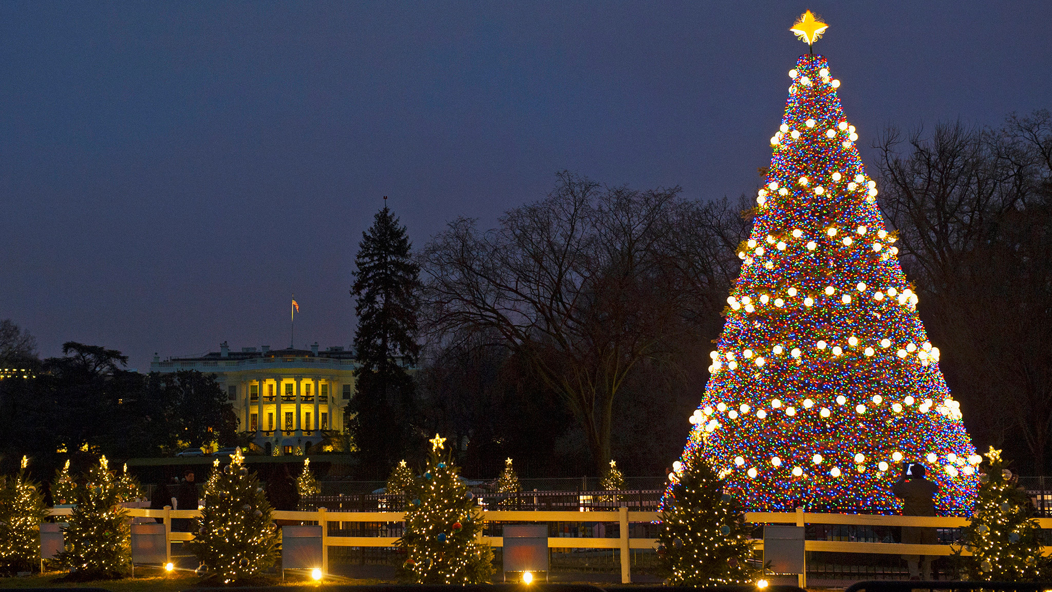 25 Ft Christmas Tree In Usa 2022 Us National Christmas Tree: A Symbol Of Peace, Pride And Power | Financial  Times
