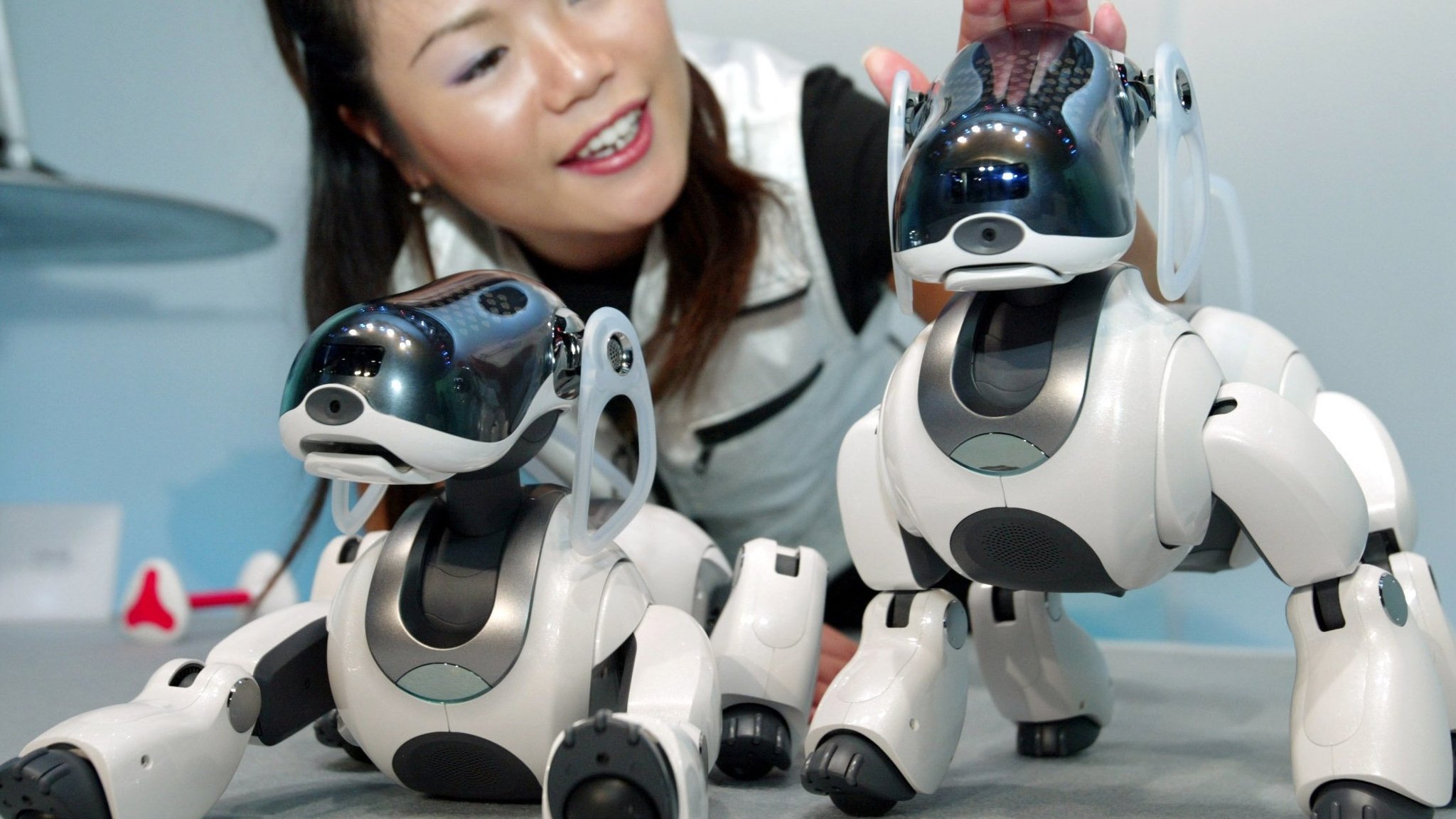 japanese robot dog