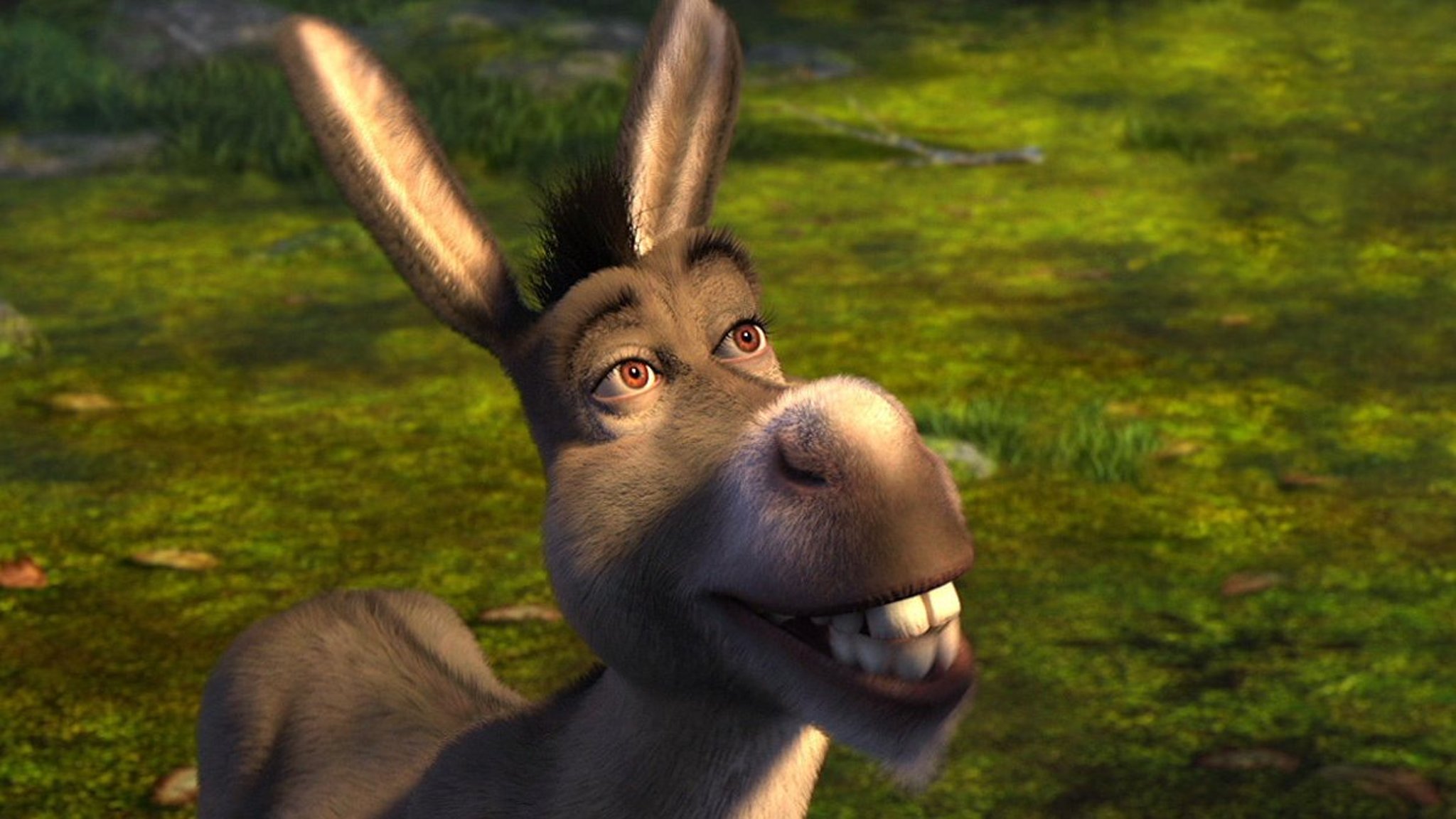 Image result for donkey shrek