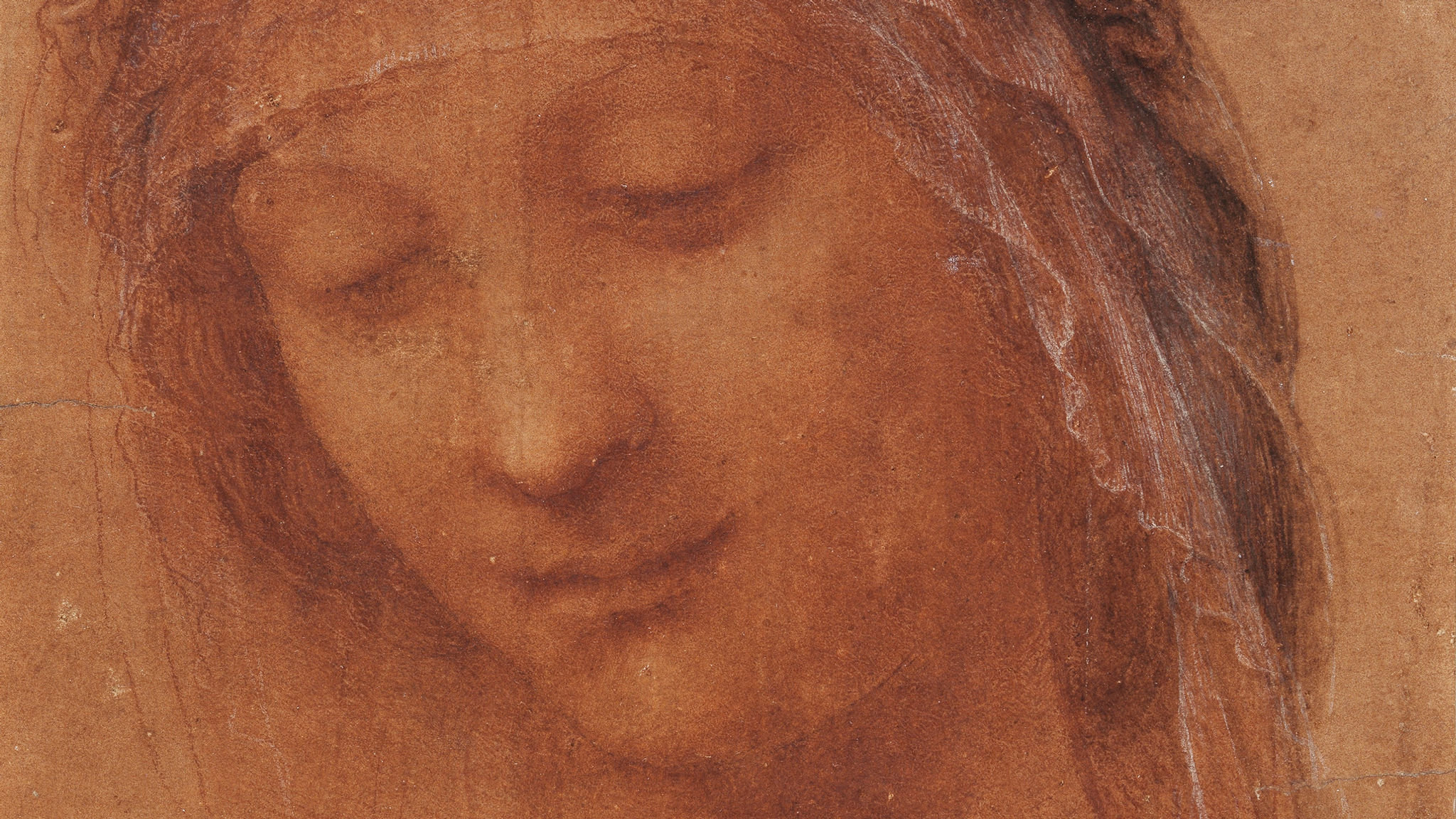 Featured image of post Da Vinci Anatomy Wallpaper According to the victoria albert museum da vinci left his notebooks to his assistant francesco melzi