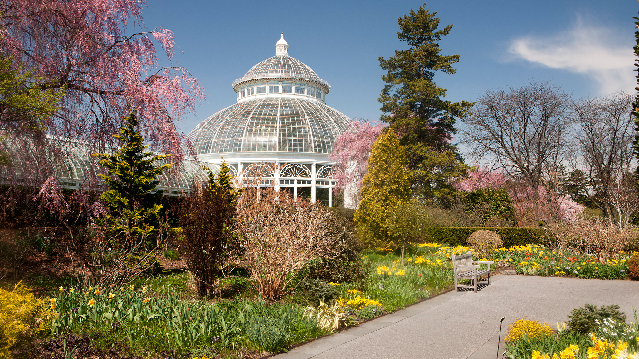 are dogs allowed at new york botanical garden