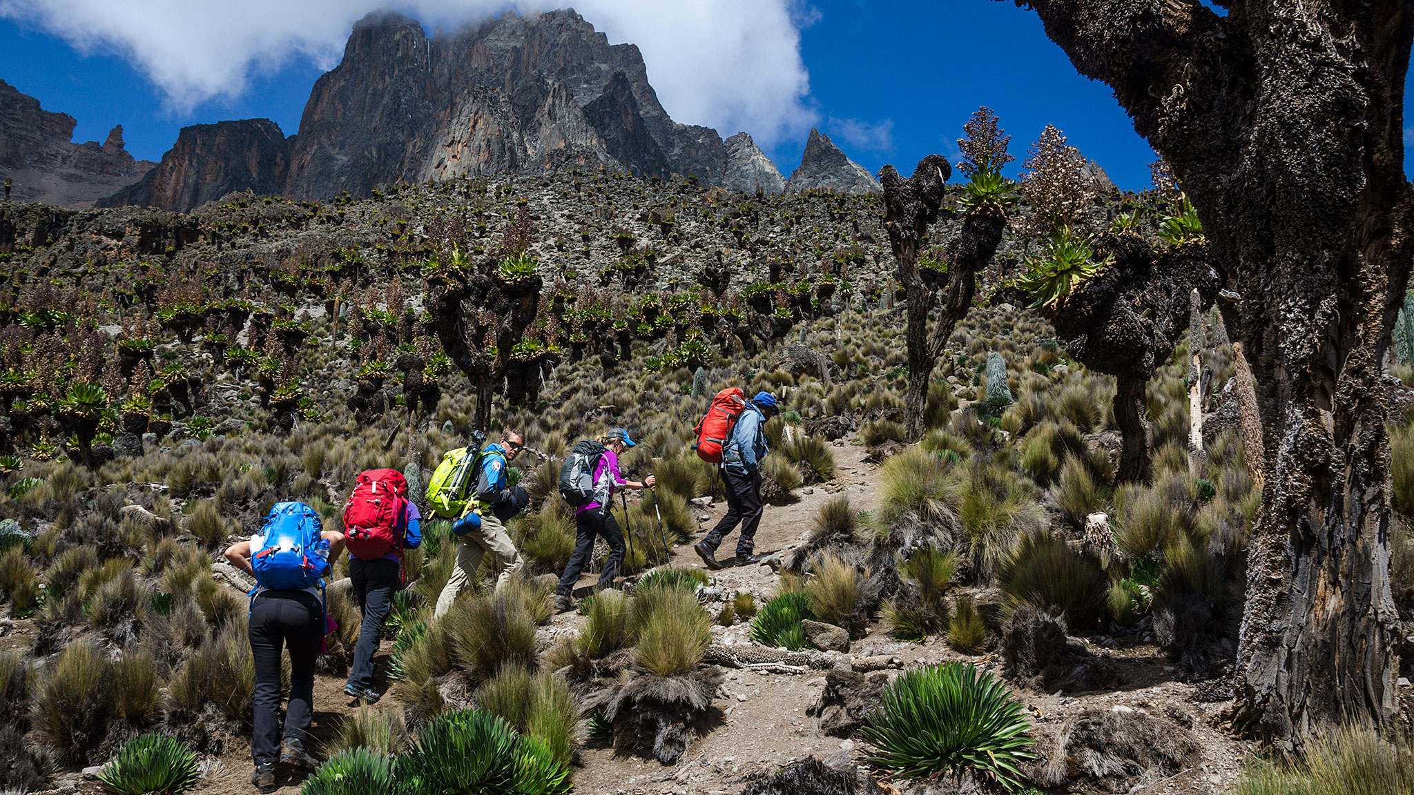 Climbing Mount Kenya can now be done in half the time — but it’s still