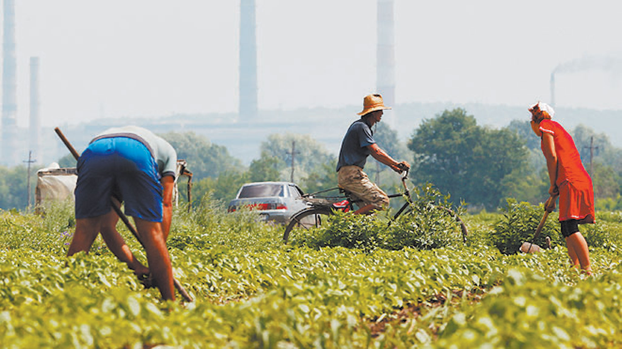 Agriculture Room for profitable growth in the fields of black earth