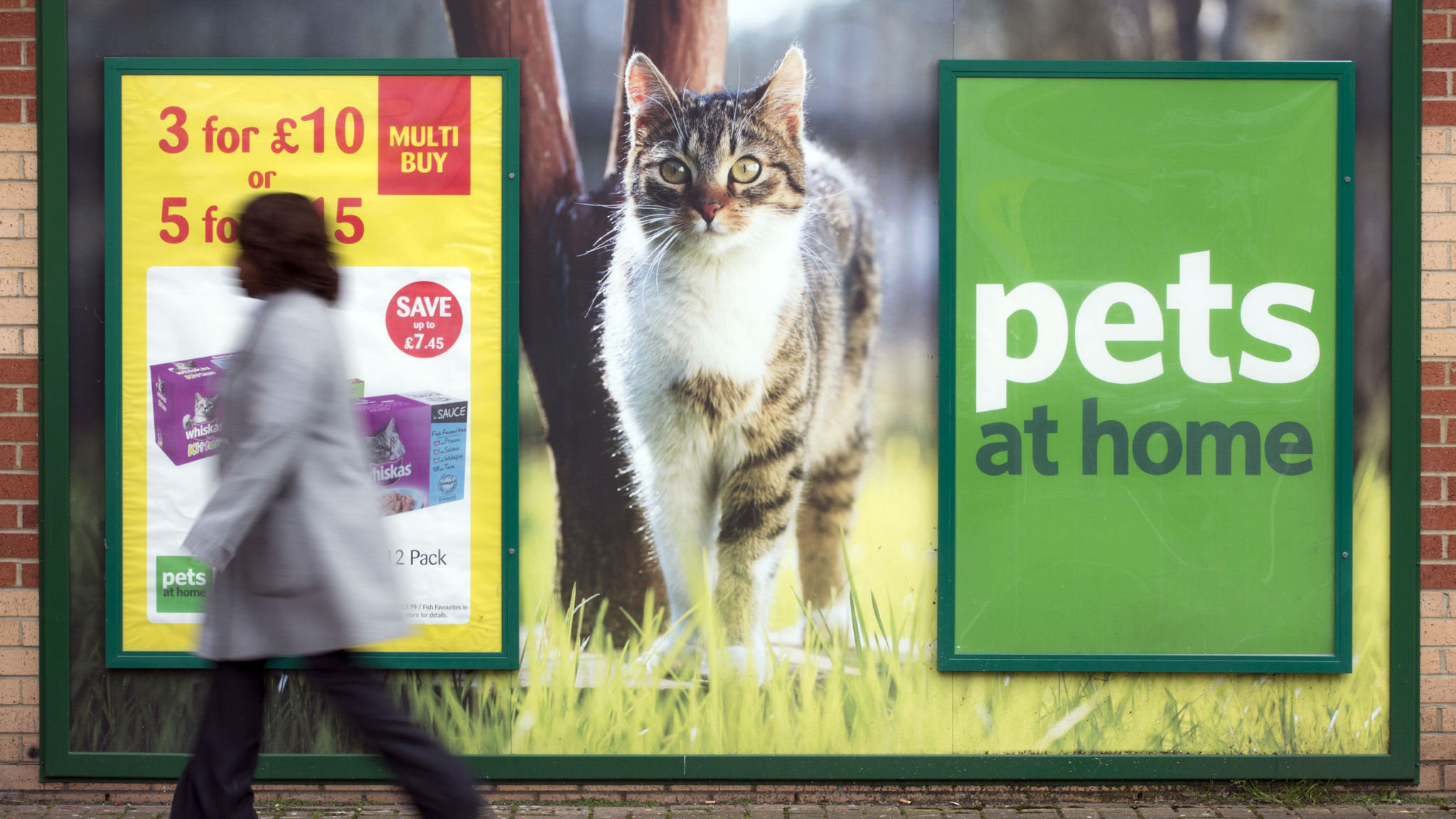 Can You Take Your Dog Into Pets At Home